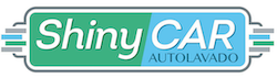 Shiny Car